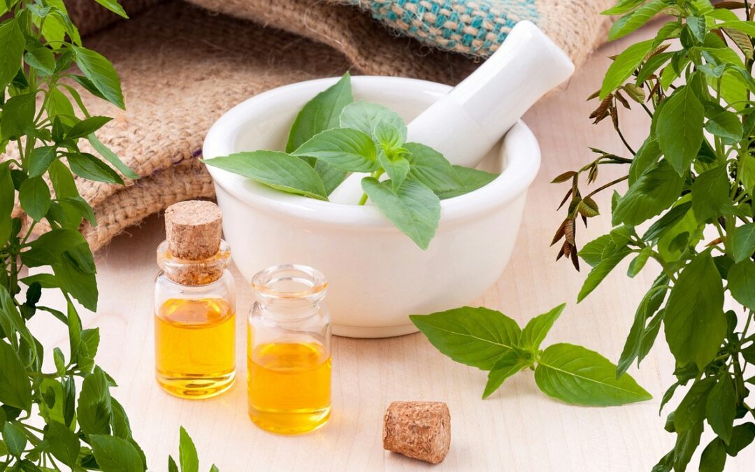 Herbal Extract wholesale suppliers in India for bulk supply!